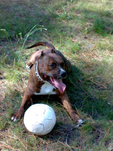 con su pelota preferida